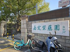 -嘉定紫藤园