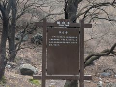 -阳台山自然风景区