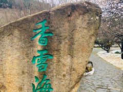 -香雪海