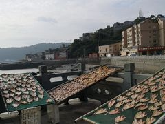 -东沙渔村