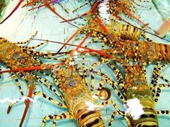 2008621721400-渔民新村(番禺总店)