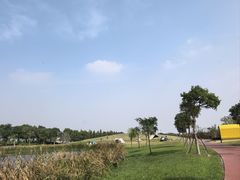 -春花秋色城市公园