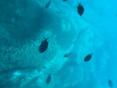 -亚龙湾海底世界