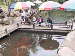 -白马涧龙池景区