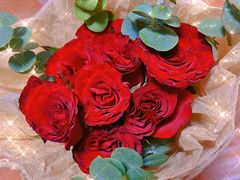 -盒马鲜生(馥邦国际店)