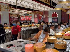 -龍歌自助小火锅(崂山丽达店)