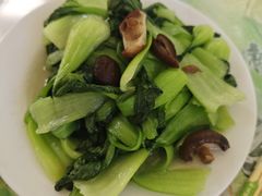 -绿野餐厅(上海动物园店)