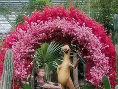 -呀路古热带植物园
