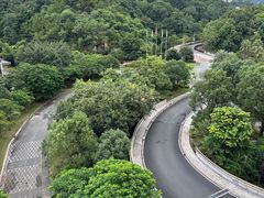 -河源万绿湖美思威尔顿酒店