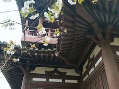 -西安青龙寺遗址景区