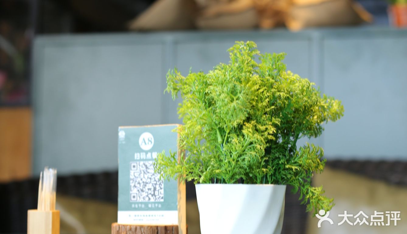 边吃边拍 | 四十不到的惊喜套餐