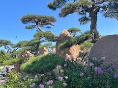 -罗红摄影艺术馆