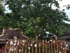 -西双版纳勐泐文化旅游区