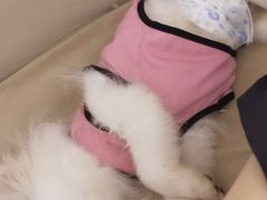 -怪兽屋·羊驼·猫咖·狗咖(俊华广场店)