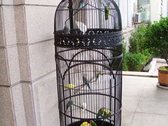 -老味道民宿(栈桥店)