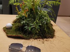 -溥仪眼镜(北京SKP店)