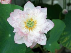 -龙环葡韵住宅式博物馆