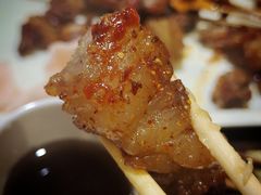-金刚山烧烤(红旗大街店)