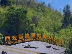-西双版纳原始森林公园