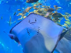 -太平洋海底世界