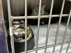 -达爱动物医院·犬猫分区·CT·复杂眼科(远洋山水分院)