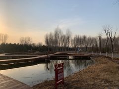 -东郊湿地公园