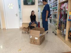 -芭比堂动物医院·24小时·眼科中心(深圳中心)