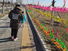 -绿野森林乐园冰雪季