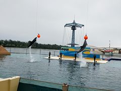 -秦皇岛乐岛海洋王国