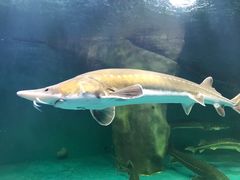 -多彩贵州城极地海洋世界