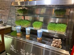 -蜀大侠火锅(四川北路店)