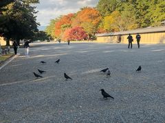 -京都御所