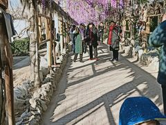 -呀路古热带植物园