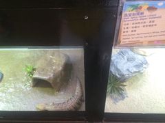 -屯门公园