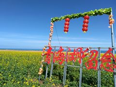 -青海湖国家重点风景名胜区