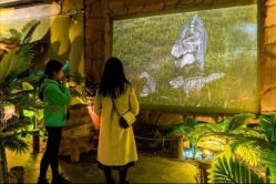 -恐龙探索乐园(磁器口店)