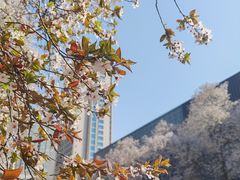 -西安创业咖啡街区