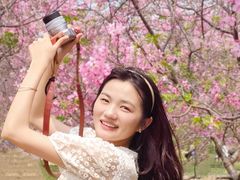 -天适樱花悠乐园