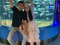 -大连圣亚海洋世界