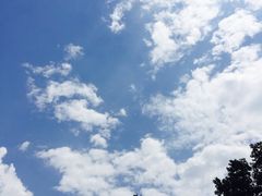 -武汉市青少年宫水上世界