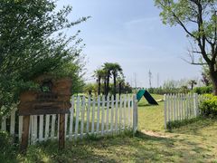 -上海崇明金茂凯悦酒店