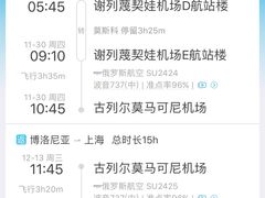 -谢列梅捷沃国际机场