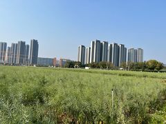 -光明小镇欢乐田园