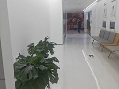 -极简口腔(总院)