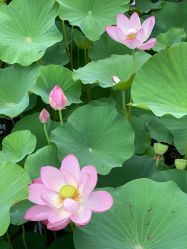 -大望京儿童游乐场