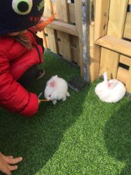 -萌宠亲子动物乐园(槐房万达店)