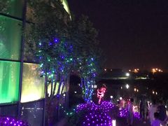-大塘金香草谷