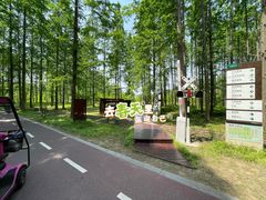 -黄海国家森林公园