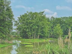 -桤木河湿地公园