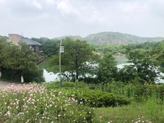 -白马涧龙池景区